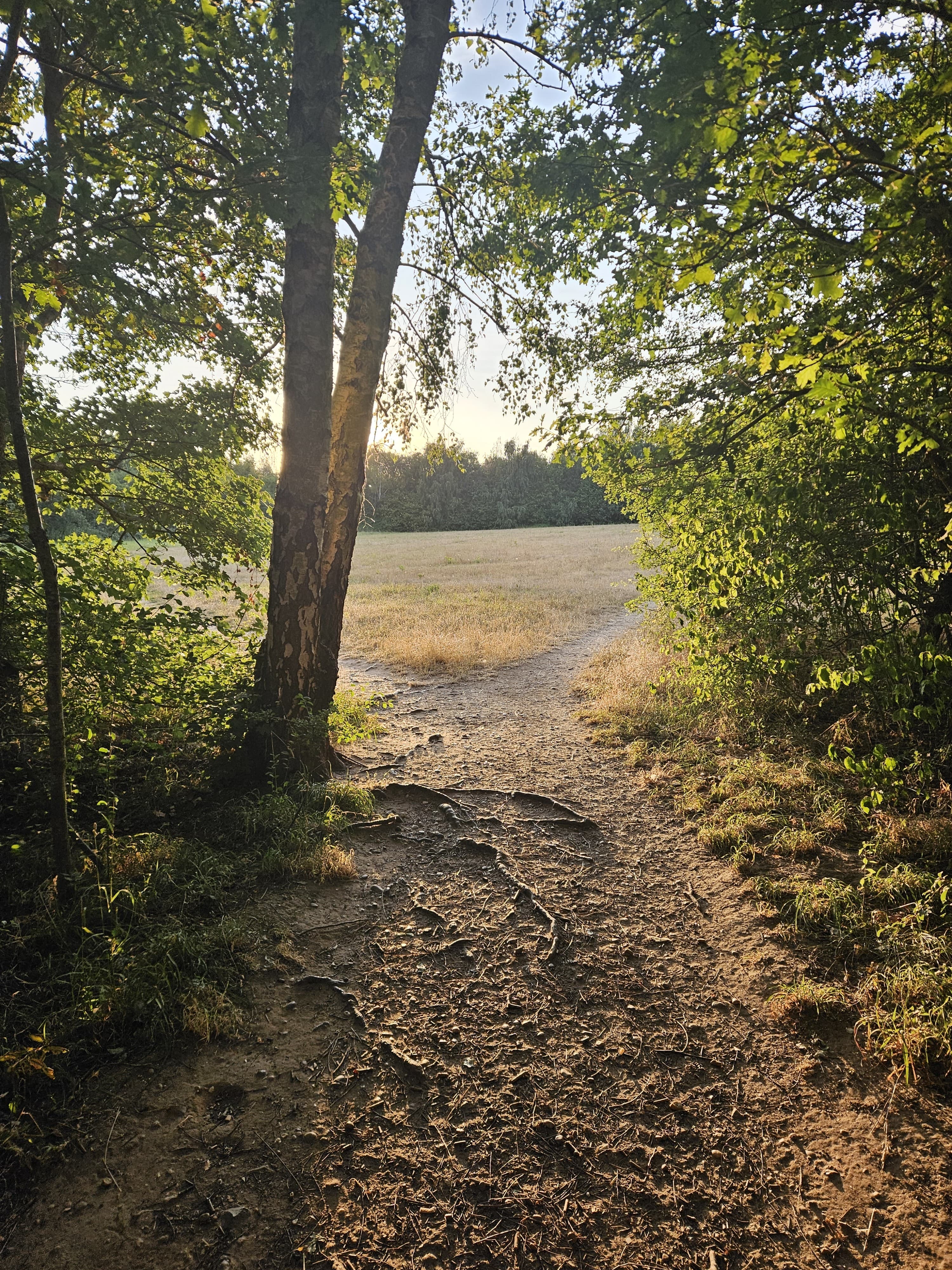 South Stratford landscape